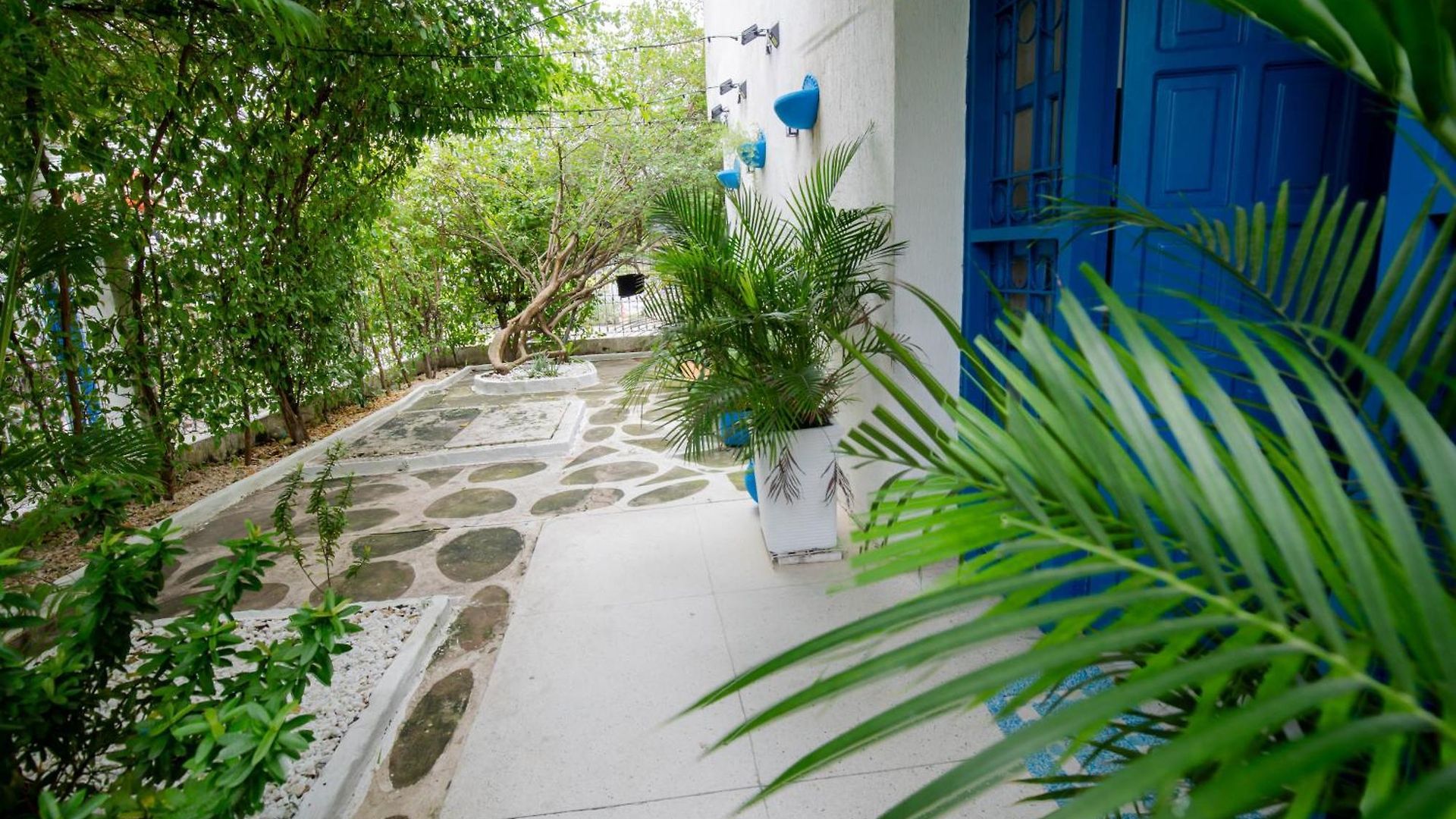 Apartamento Casa Mikonos