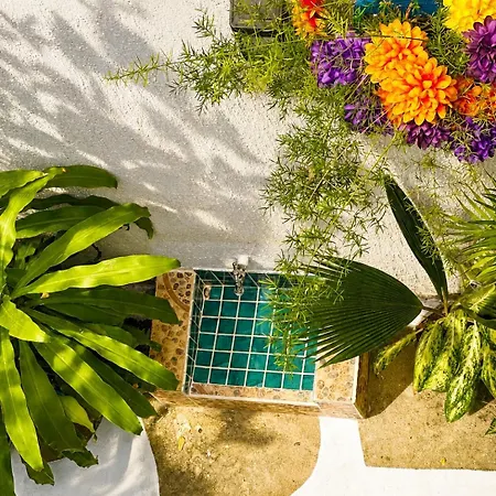 Casa Mikonos Apartment