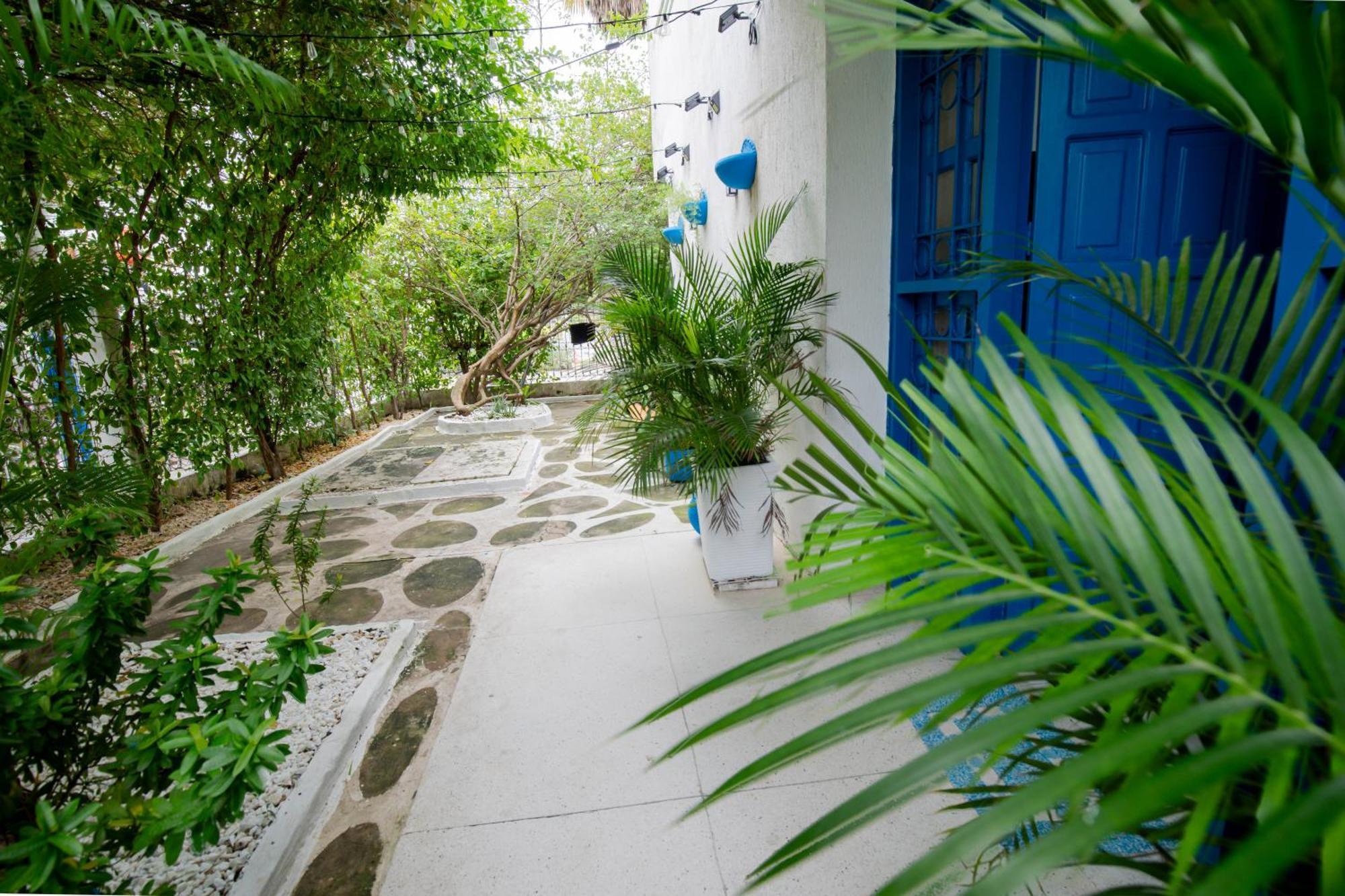 Apartment Casa Mikonos