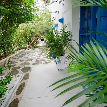 Apartment Casa Mikonos